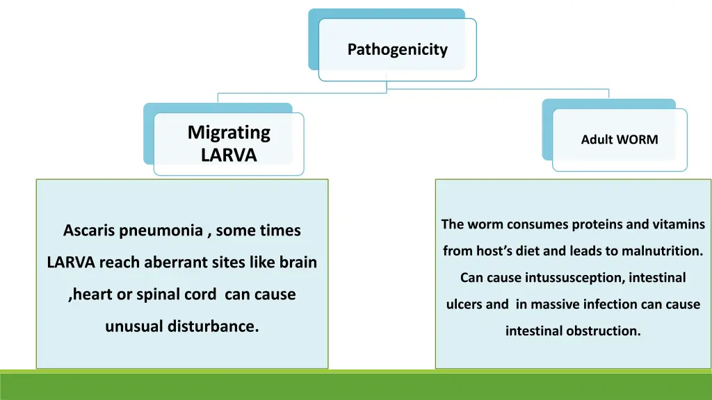 pathogenicity