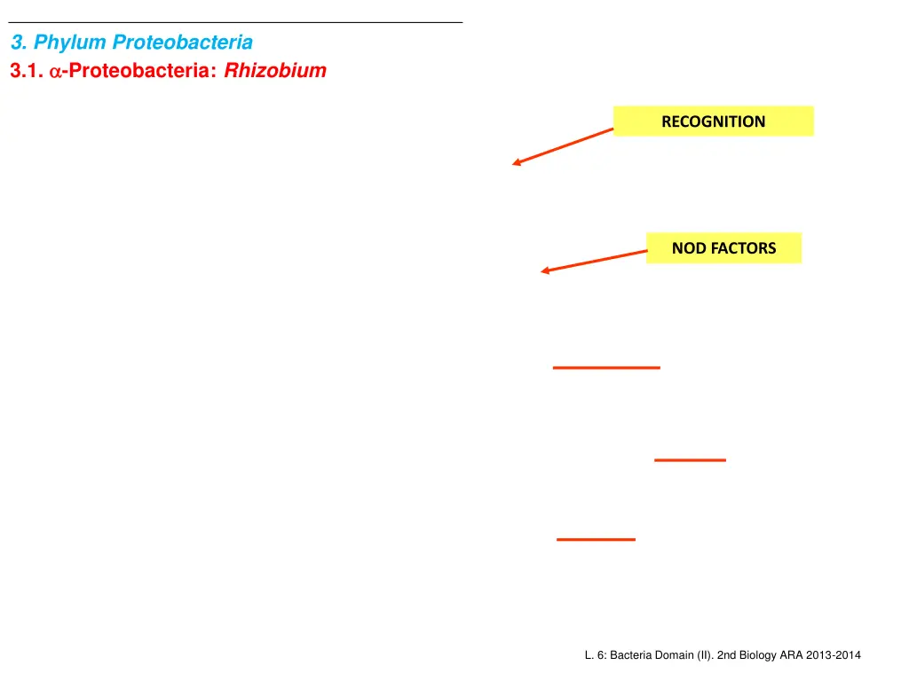 3 phylum proteobacteria 3 1 proteobacteria 1