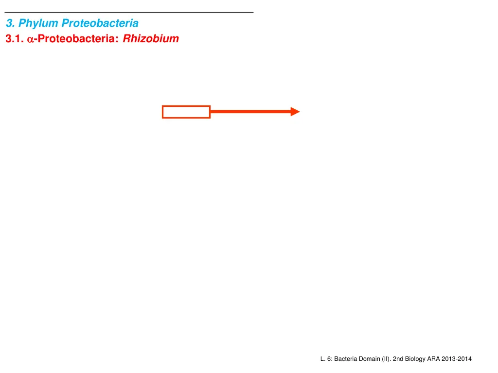 3 phylum proteobacteria 3 1 proteobacteria 2