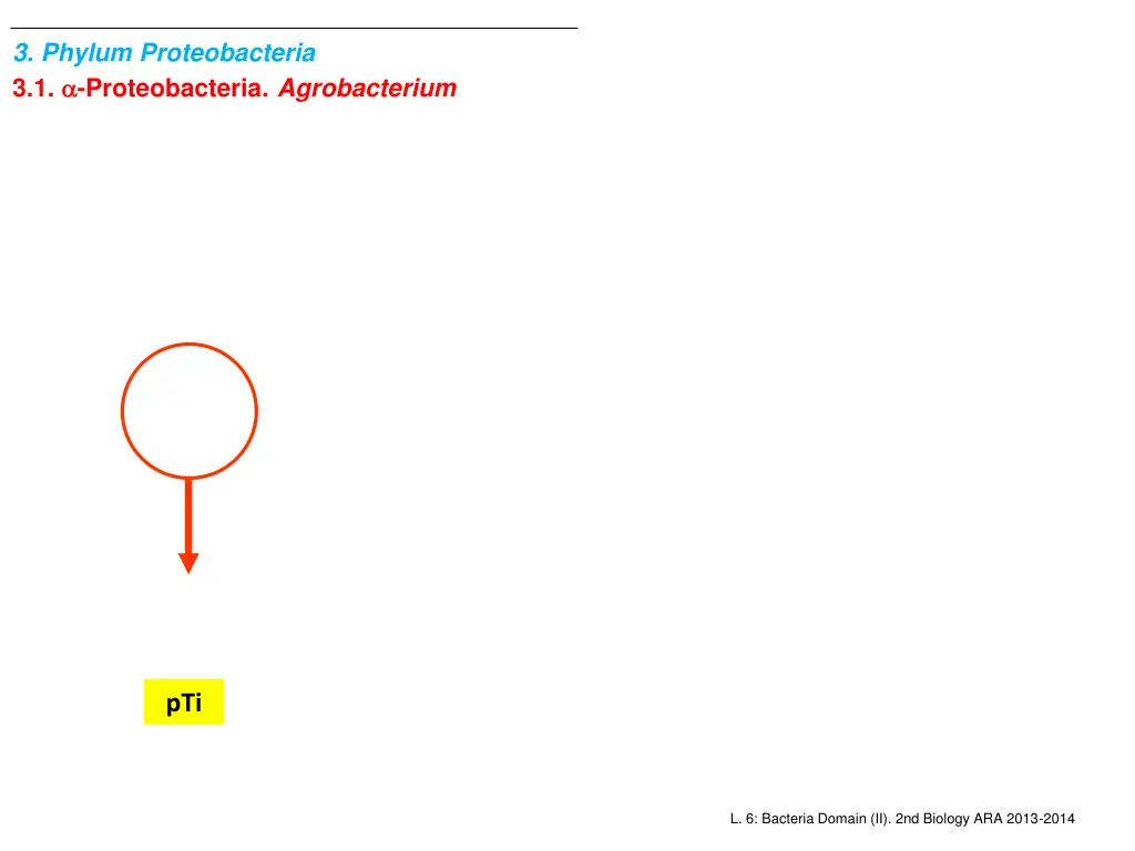 3 phylum proteobacteria 3 1 proteobacteria 3