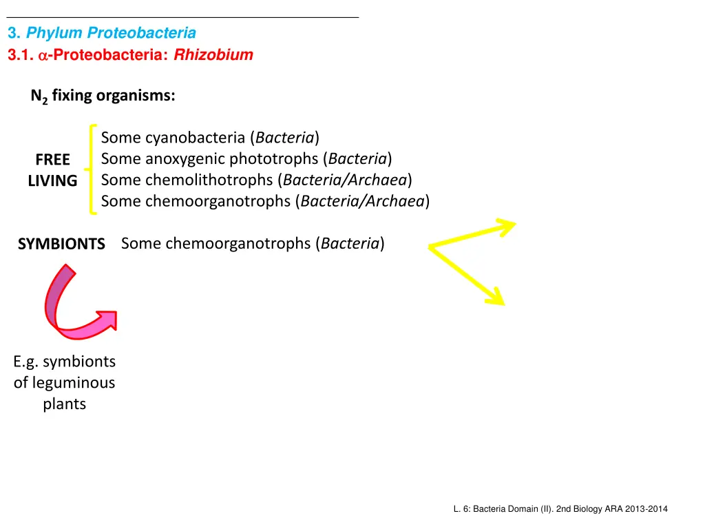 3 phylum proteobacteria 3 1 proteobacteria