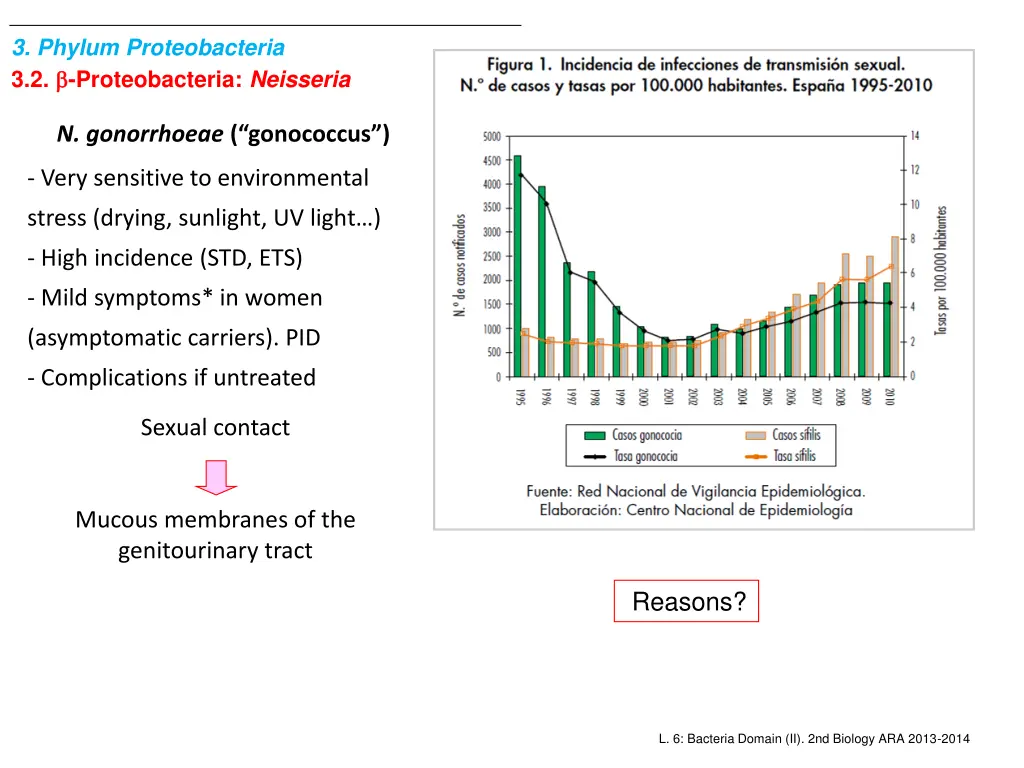 3 phylum proteobacteria 3 2 proteobacteria 1