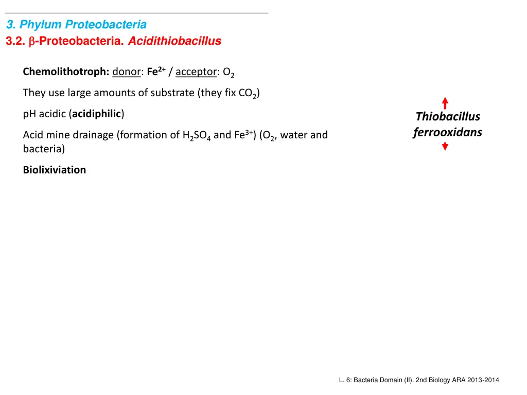 3 phylum proteobacteria 3 2 proteobacteria 2