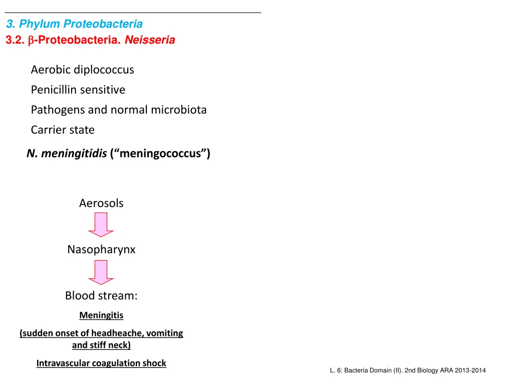 3 phylum proteobacteria 3 2 proteobacteria