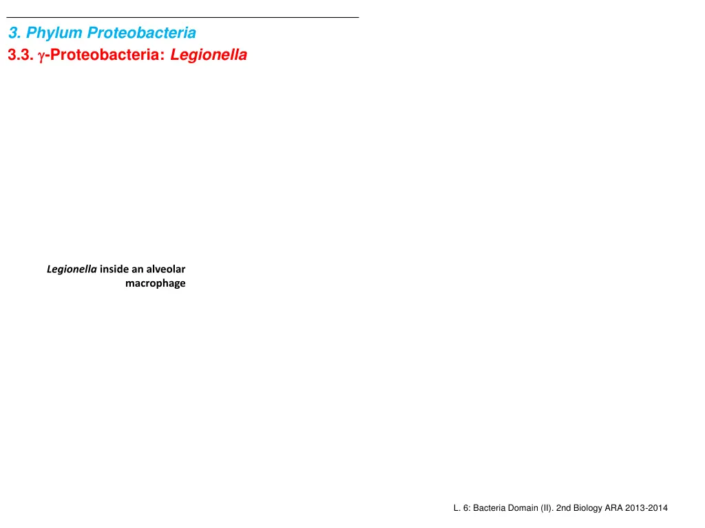 3 phylum proteobacteria 3 3 proteobacteria 1