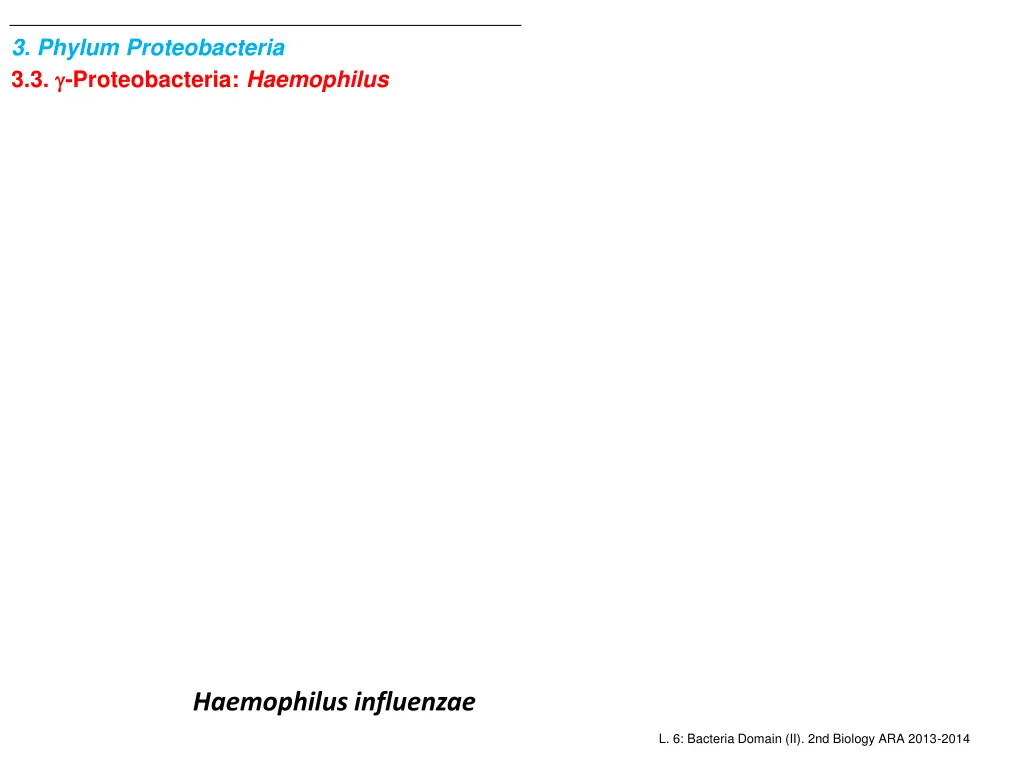 3 phylum proteobacteria 3 3 proteobacteria 2