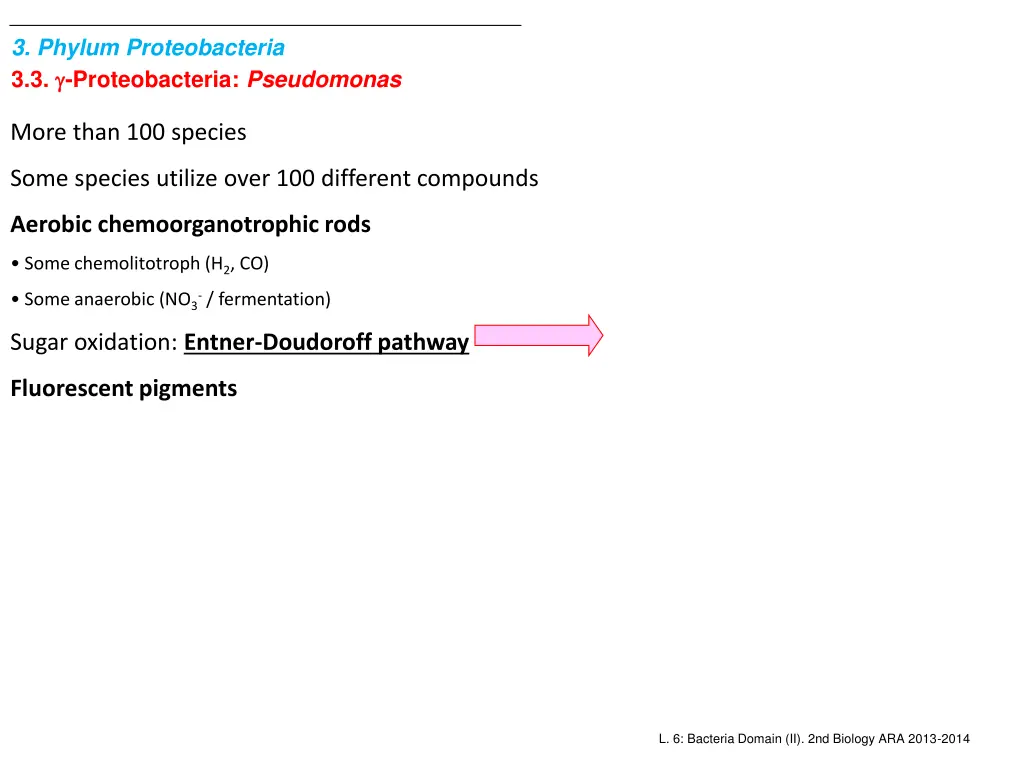 3 phylum proteobacteria 3 3 proteobacteria 3