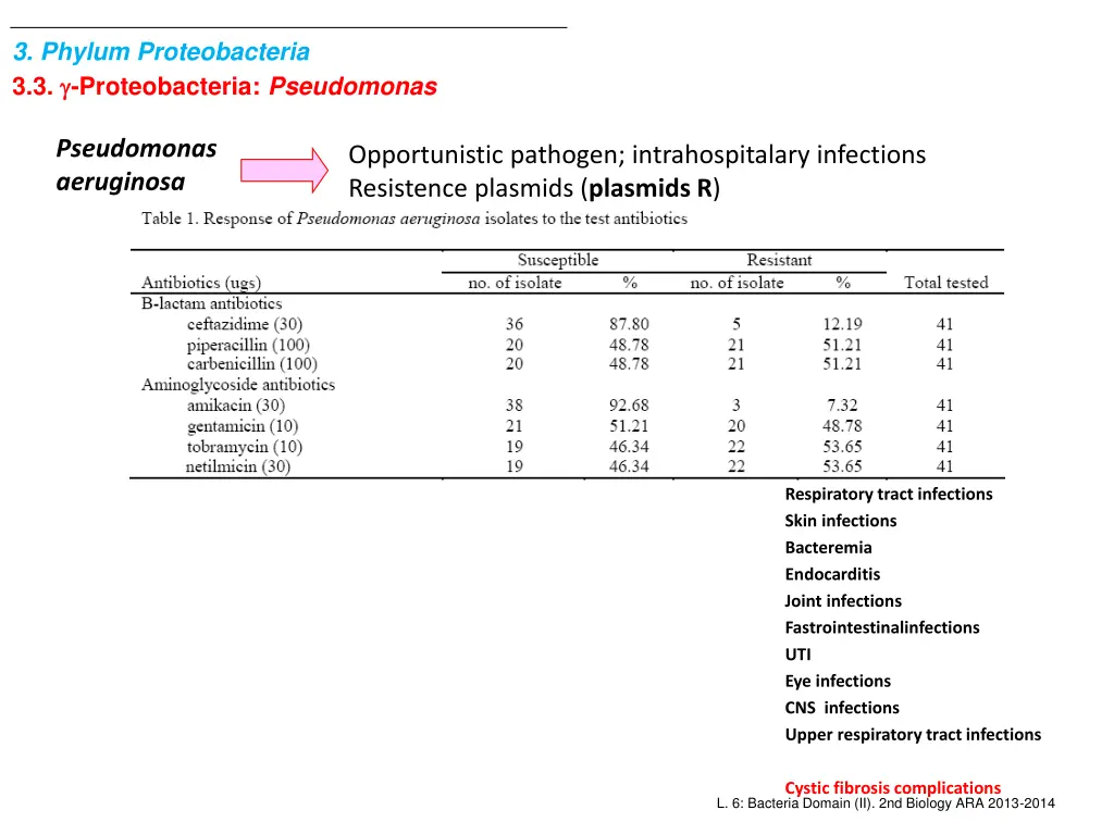 3 phylum proteobacteria 3 3 proteobacteria 4