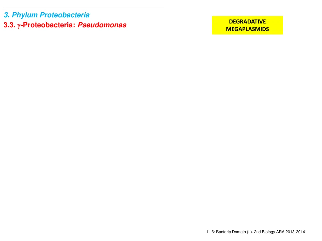 3 phylum proteobacteria 3 3 proteobacteria 5