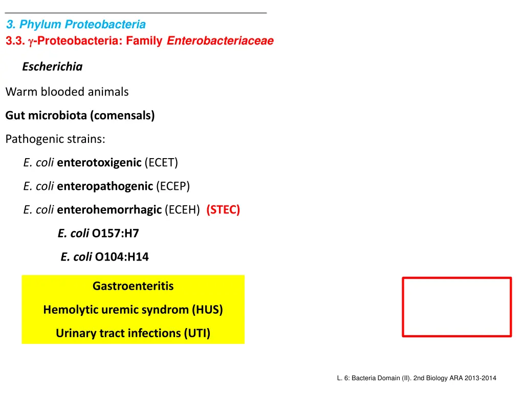 3 phylum proteobacteria 3 3 proteobacteria family 1