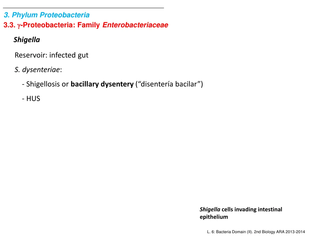 3 phylum proteobacteria 3 3 proteobacteria family 2