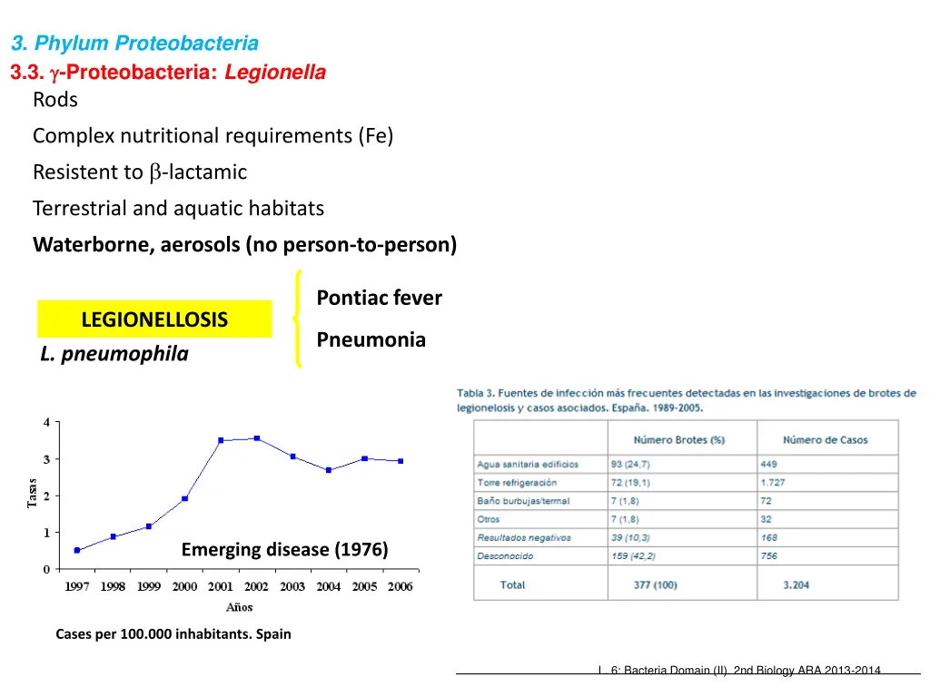 3 phylum proteobacteria 3 3 proteobacteria