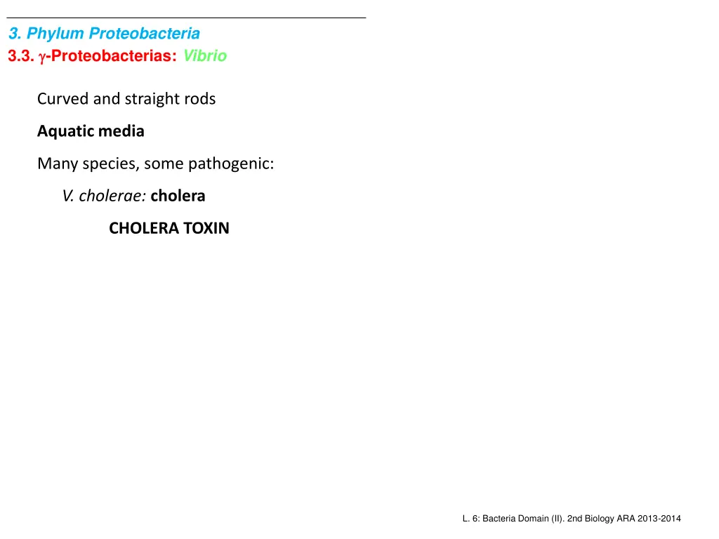 3 phylum proteobacteria 3 3 proteobacterias vibrio