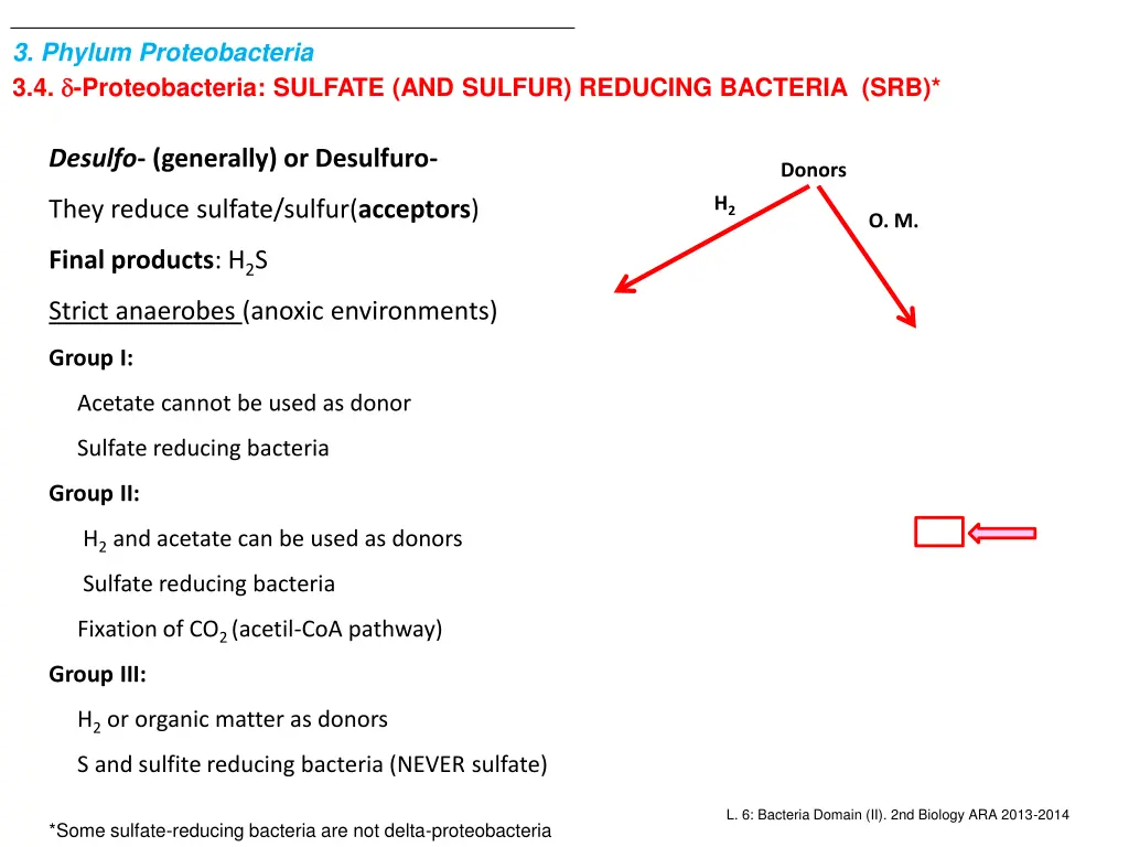 3 phylum proteobacteria 3 4 proteobacteria 1