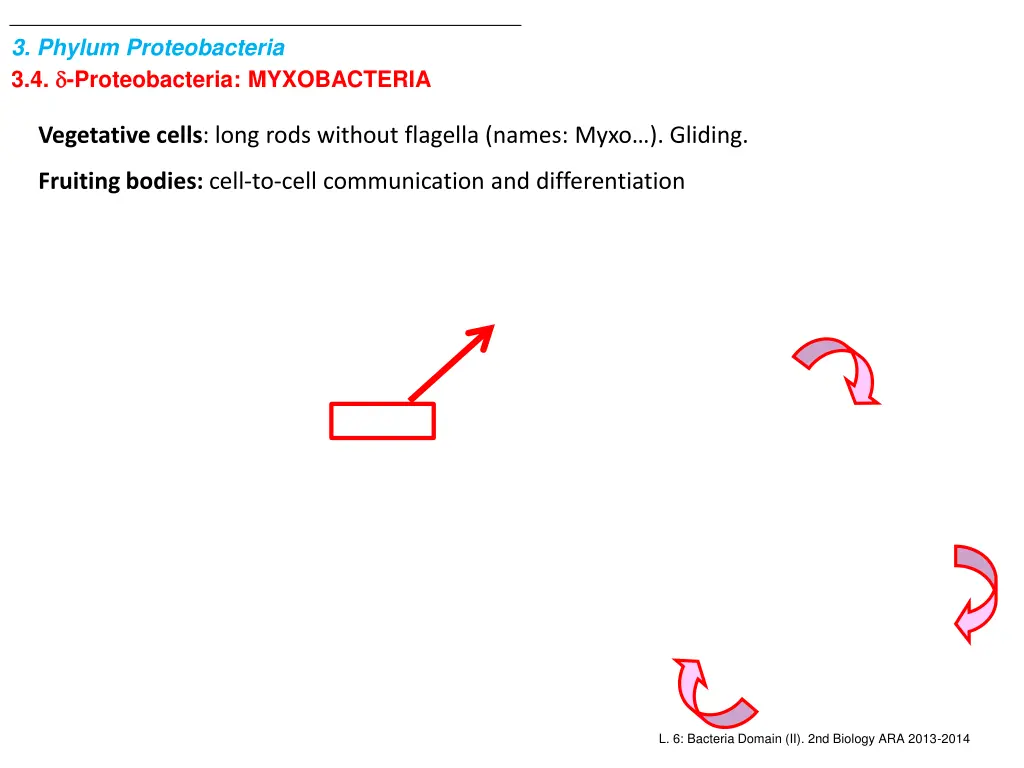 3 phylum proteobacteria 3 4 proteobacteria 2