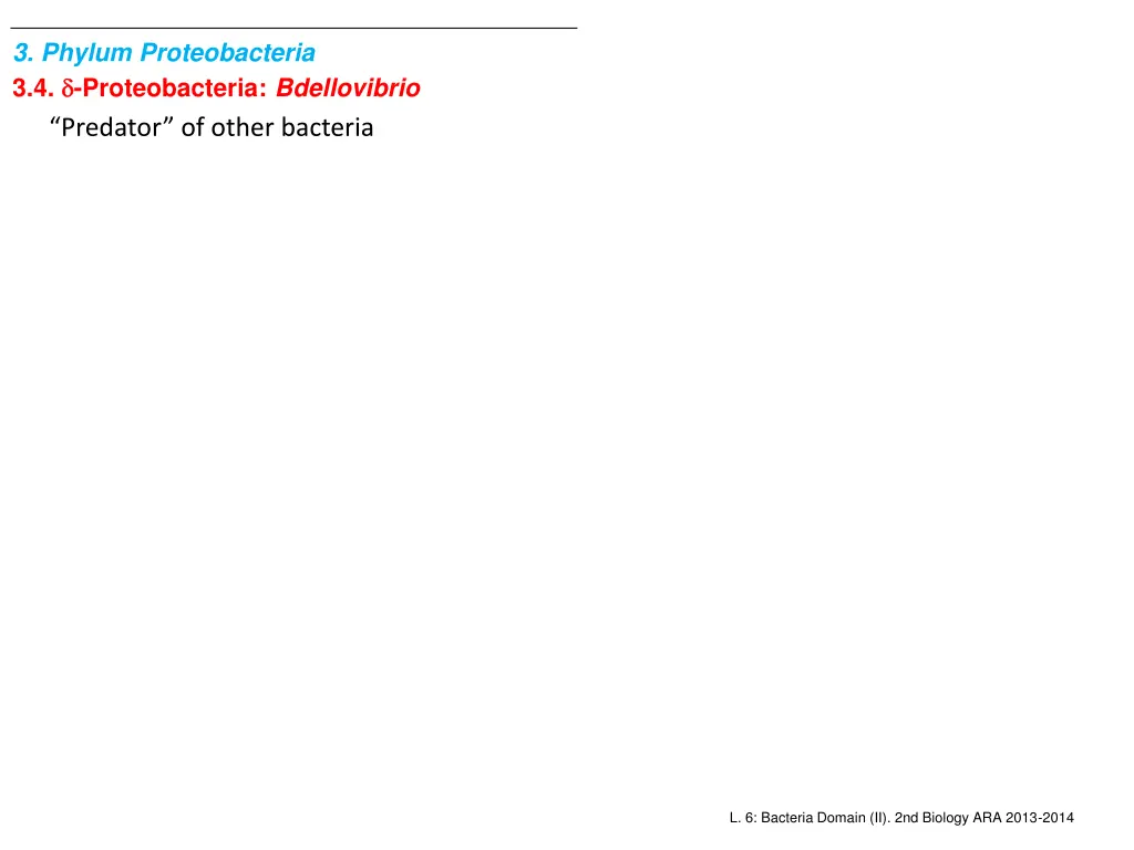 3 phylum proteobacteria 3 4 proteobacteria