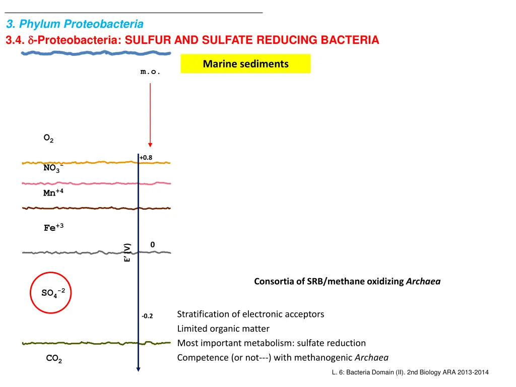 3 phylum proteobacteria 3 4 proteobacteria sulfur