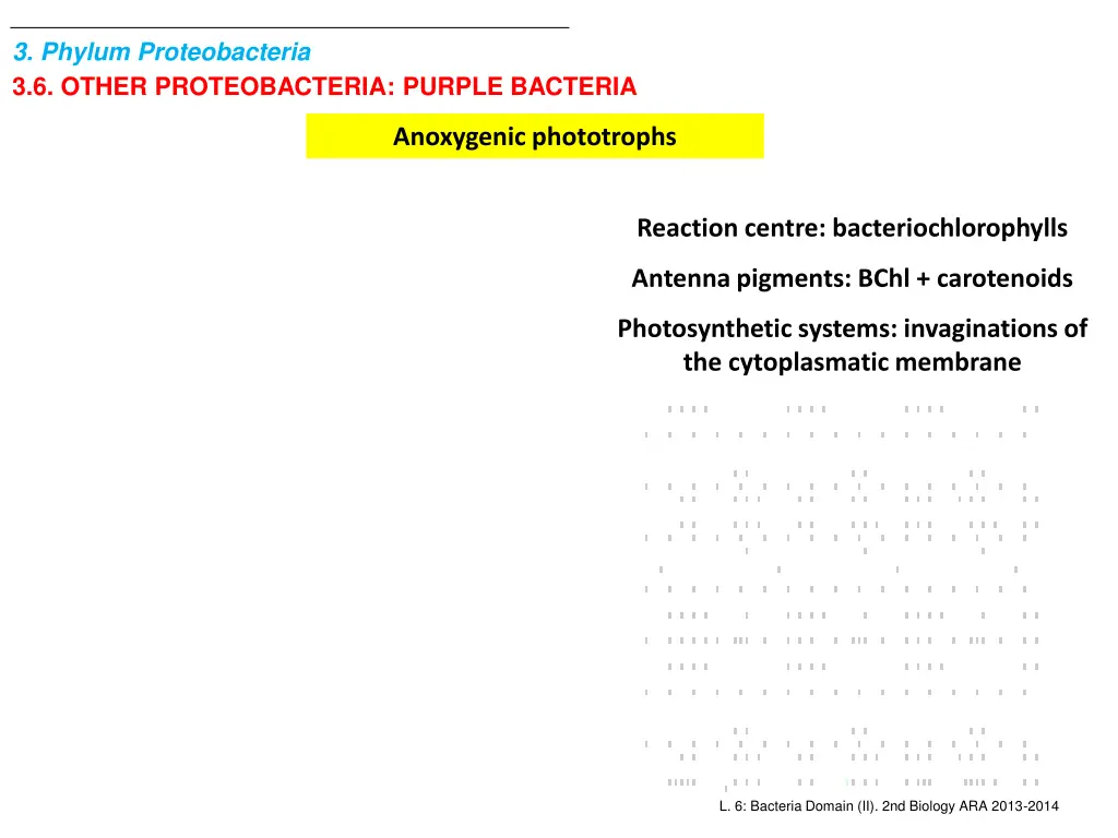 3 phylum proteobacteria 3 6 other proteobacteria 1