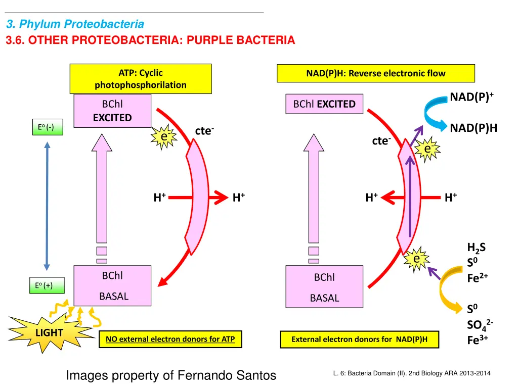 3 phylum proteobacteria 3 6 other proteobacteria 2