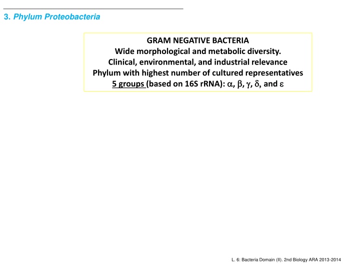 3 phylum proteobacteria