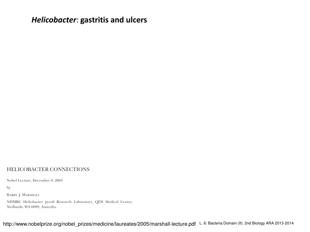 helicobacter gastritis and ulcers