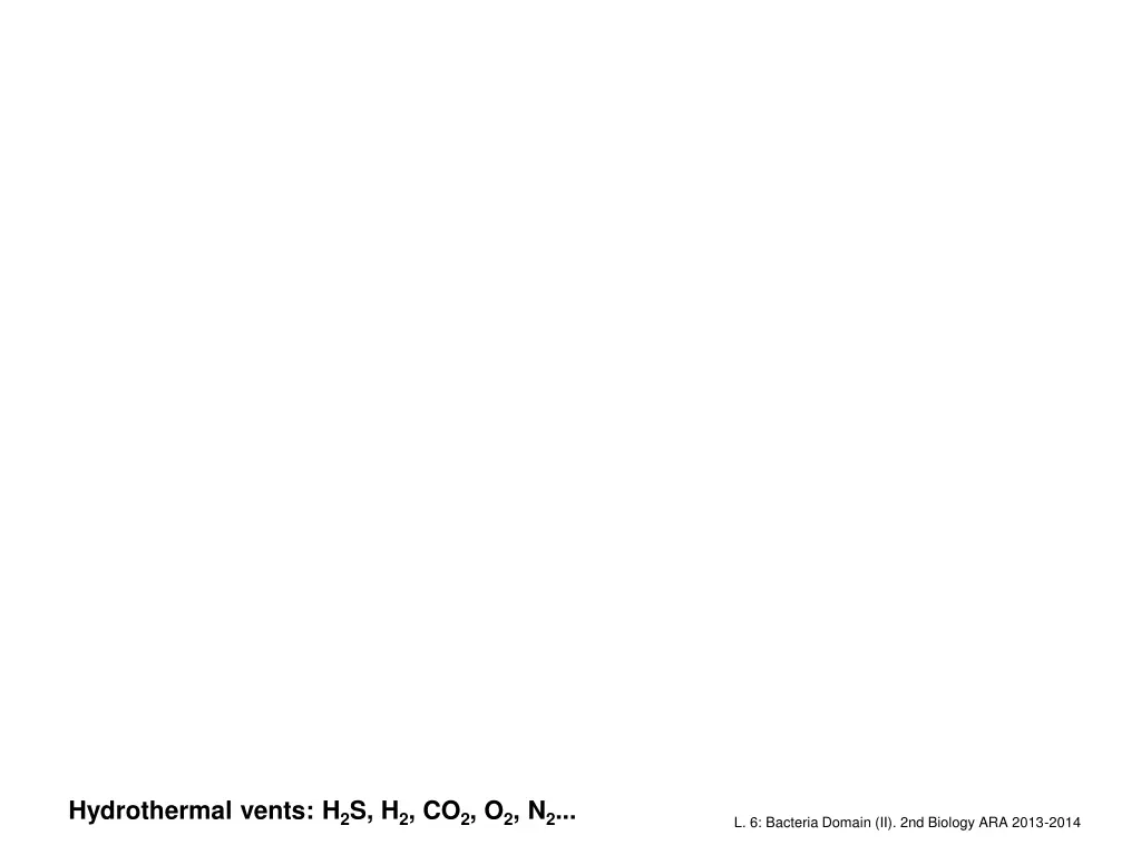 hydrothermal vents h 2 s h 2 co 2 o 2 n 2