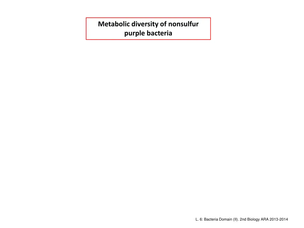 metabolic diversity of nonsulfur purple bacteria