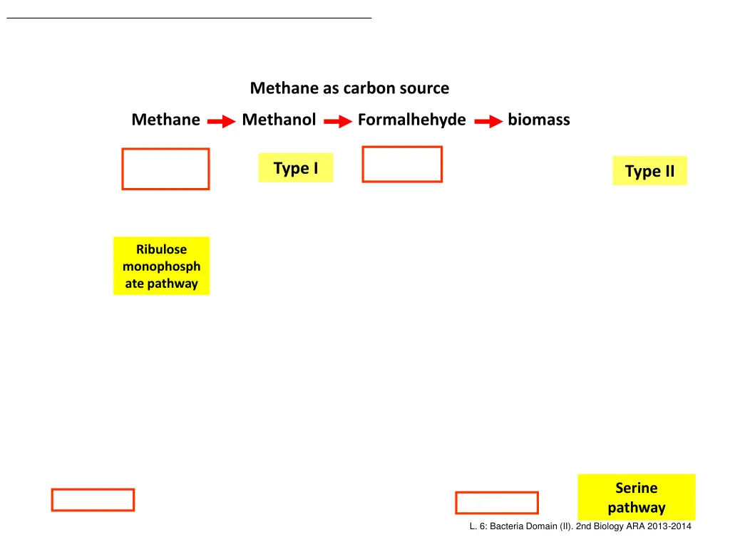 methane as carbon source