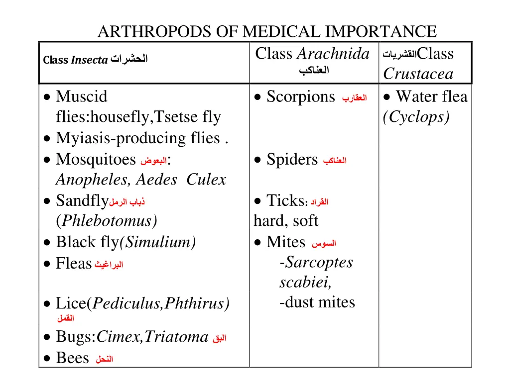 arthropods of medical importance class arachnida