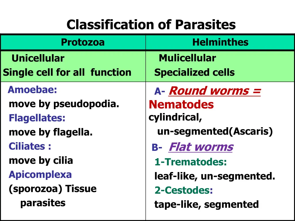 classification of parasites 1