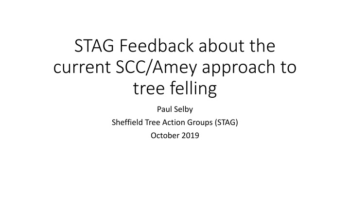 stag feedback about the current scc amey approach