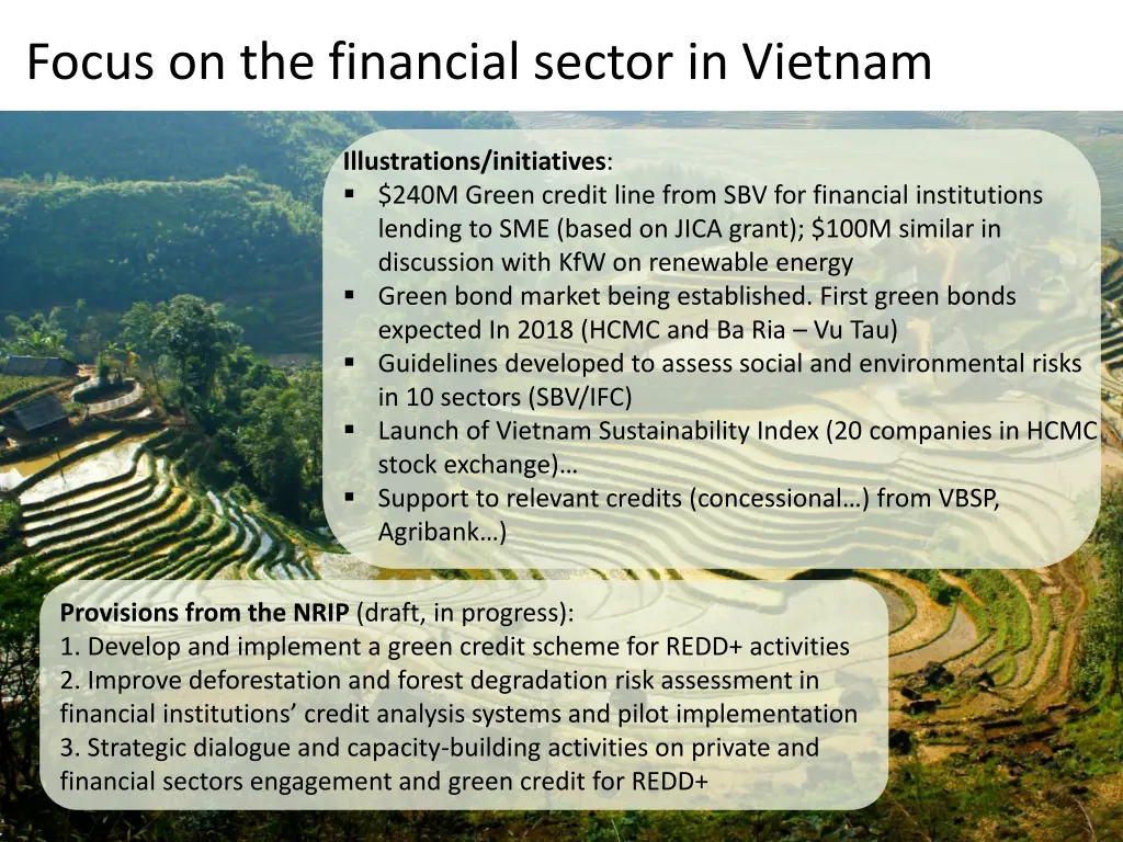 focus on the financial sector in vietnam 1