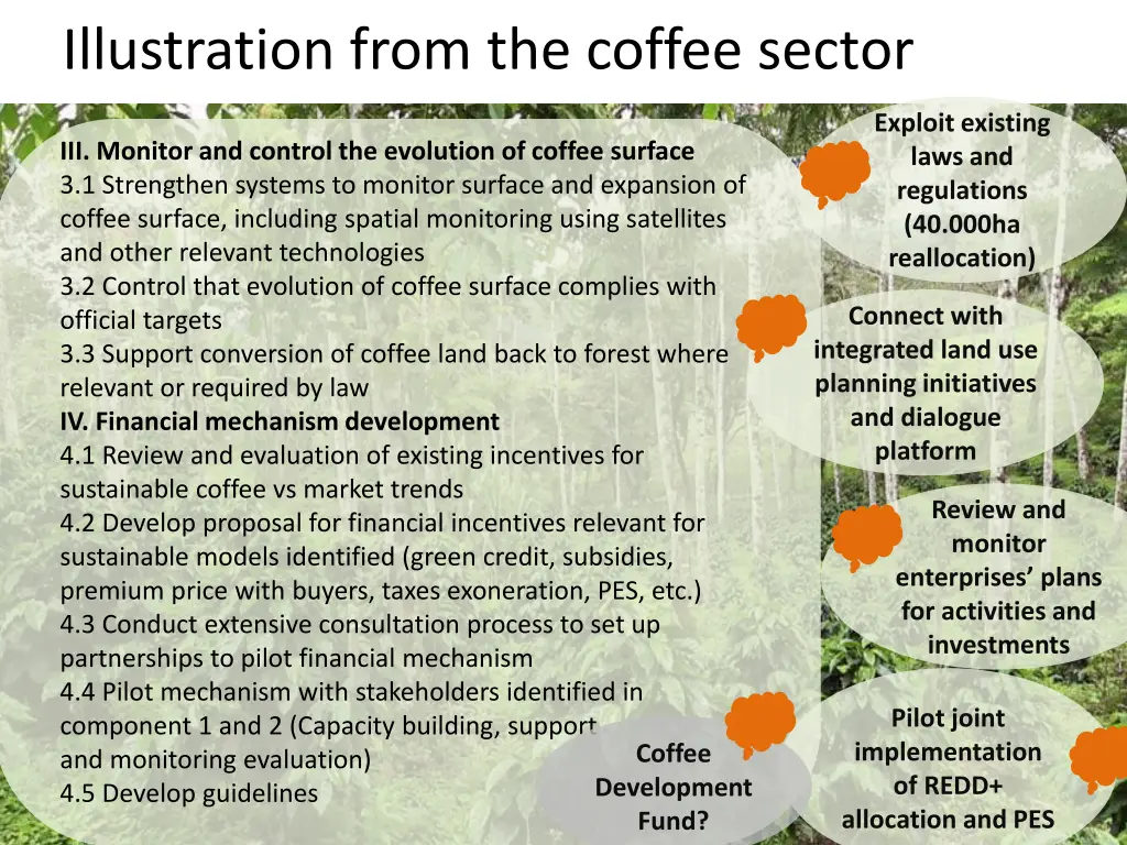 illustration from the coffee sector 2