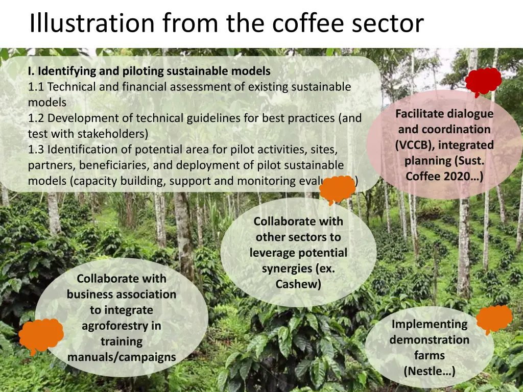 illustration from the coffee sector