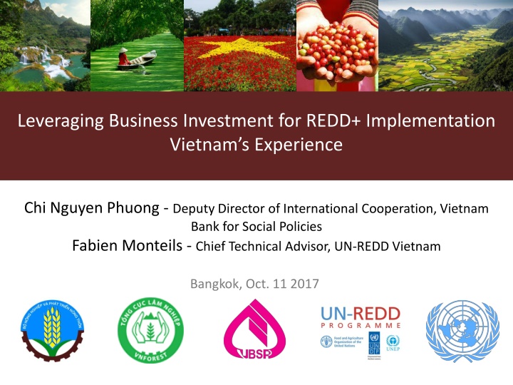 leveraging business investment for redd