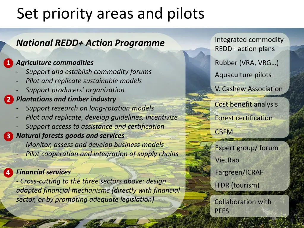 set priority areas and pilots