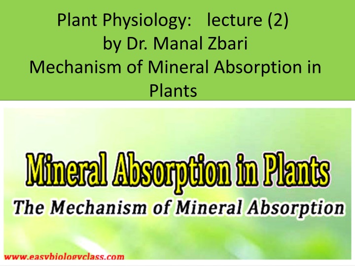 plant physiology by dr manal zbari mechanism