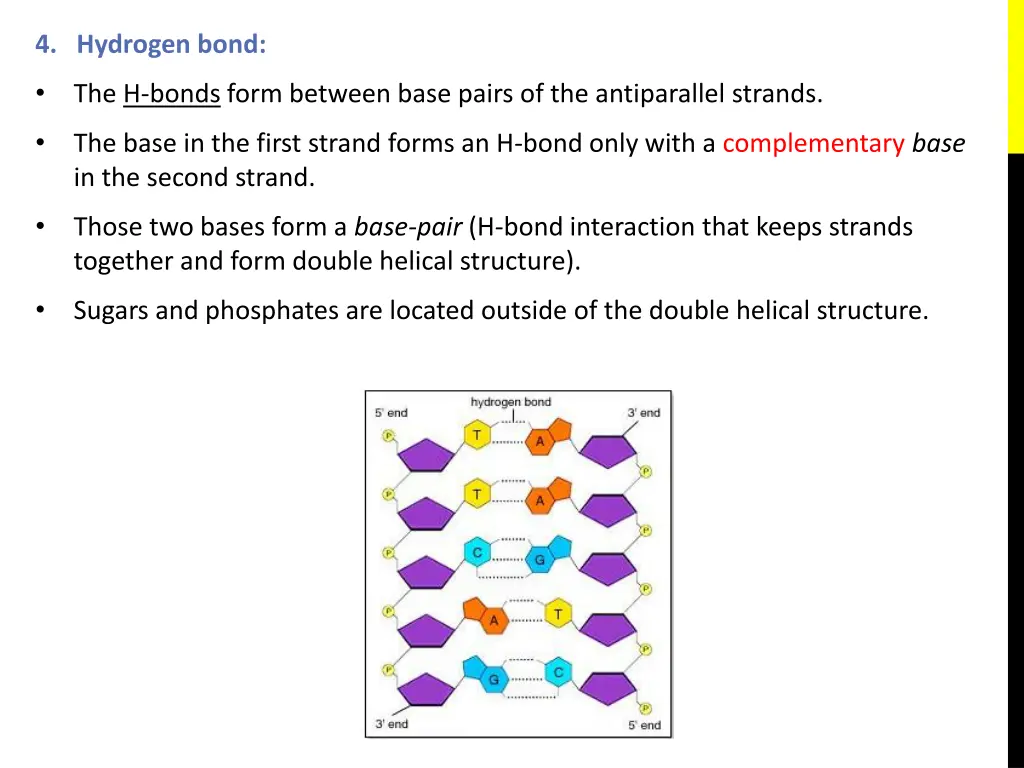 4 hydrogen bond