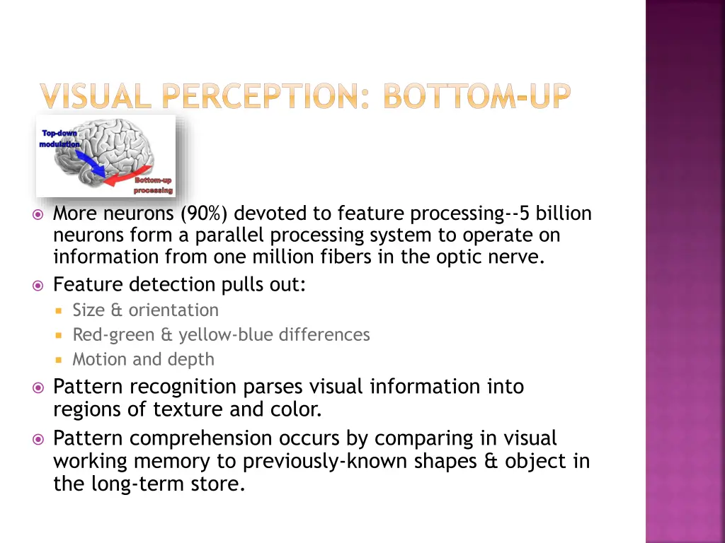 visual perception bottom up