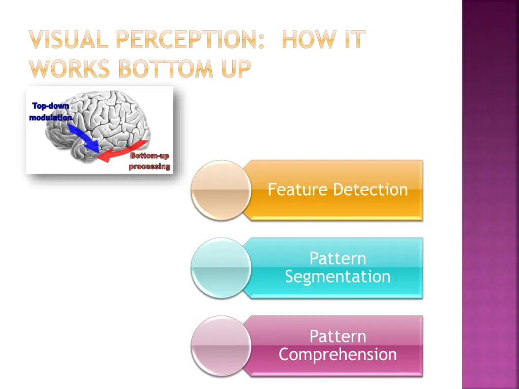 visual perception how it works bottom up