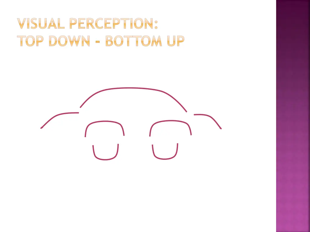 visual perception top down bottom up