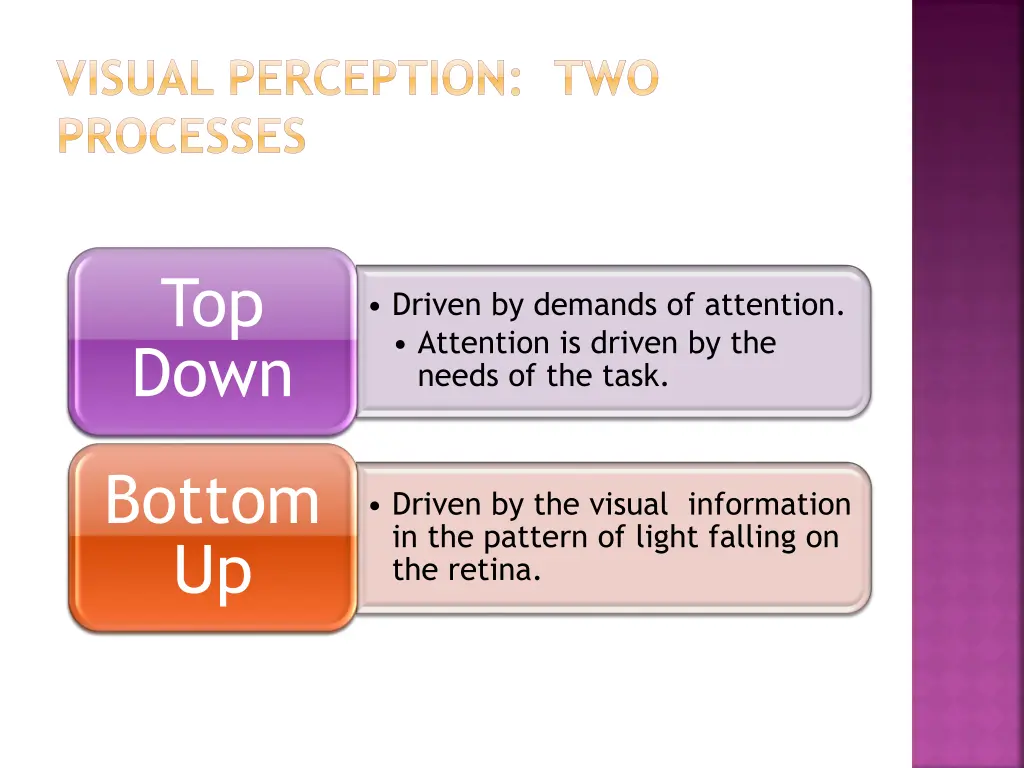 visual perception two processes