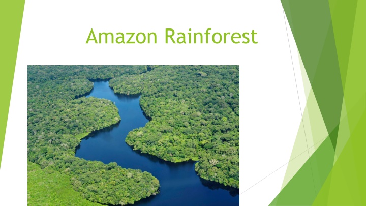 amazon rainforest