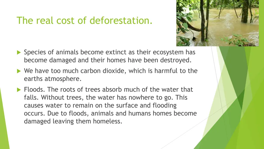 the real cost of deforestation