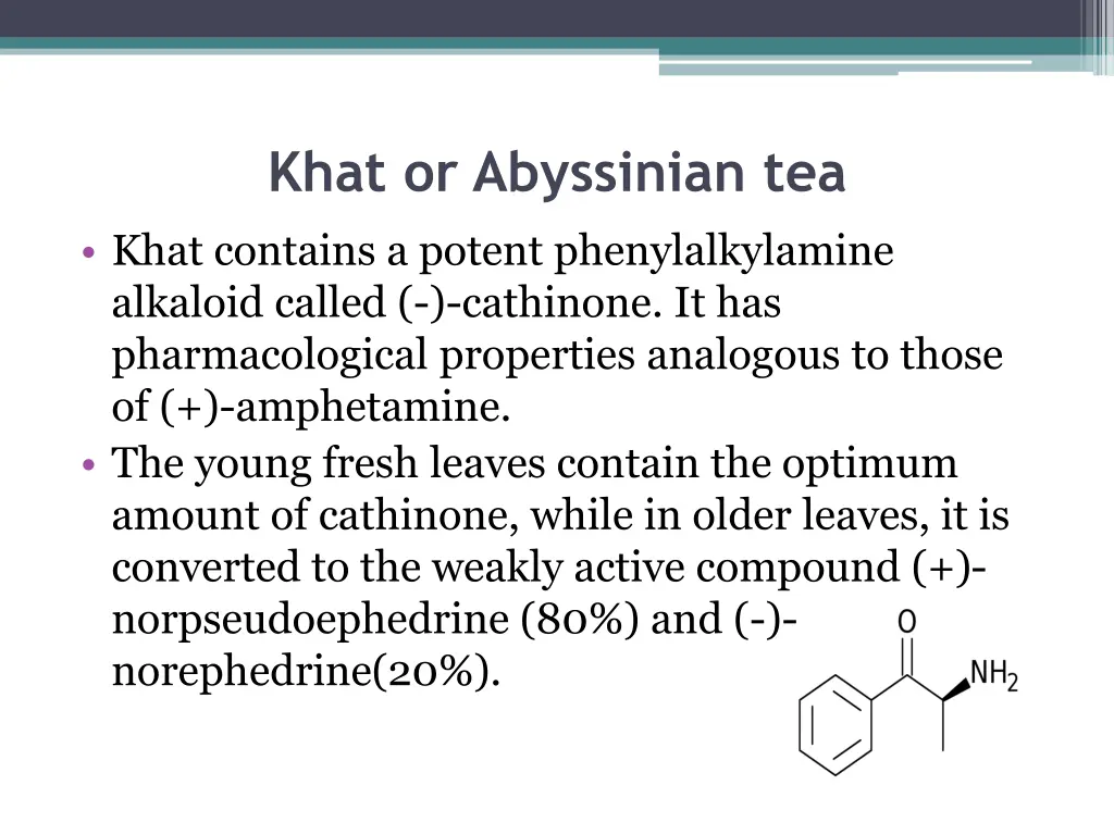 khat or abyssinian tea