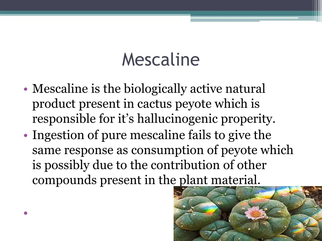 mescaline