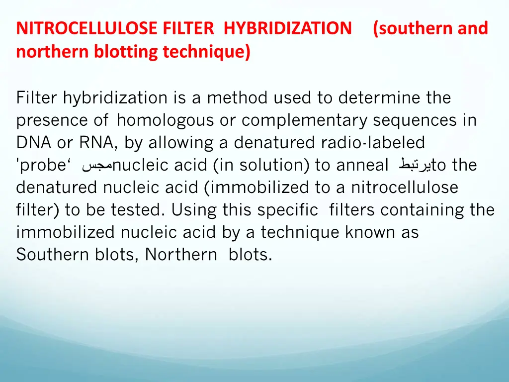 nitrocellulose filter hybridization northern