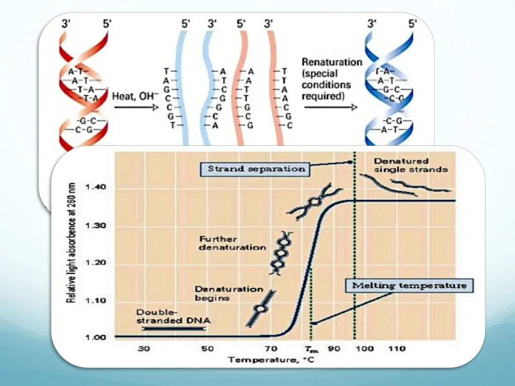 slide16