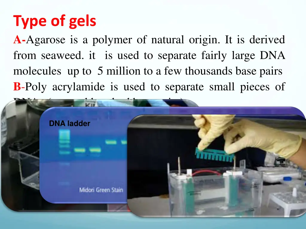 type of gels a agarose is a polymer of natural