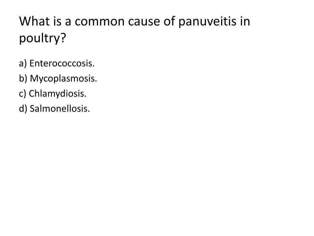 what is a common cause of panuveitis in poultry